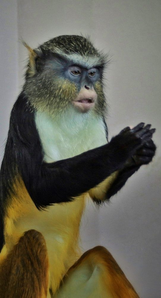 Фотография автора НАТАЛЬЯ СЕВЕР