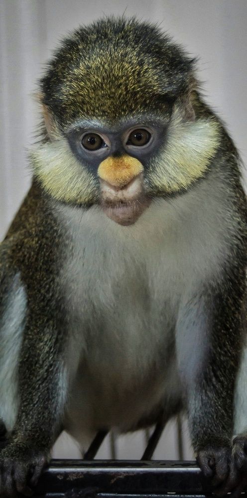 Фотография автора НАТАЛЬЯ СЕВЕР