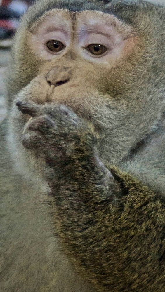 Фотография автора НАТАЛЬЯ СЕВЕР