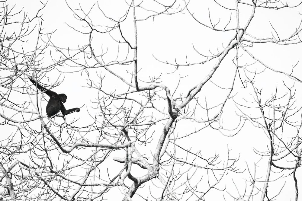 Photograph by Abhisek Bagaria