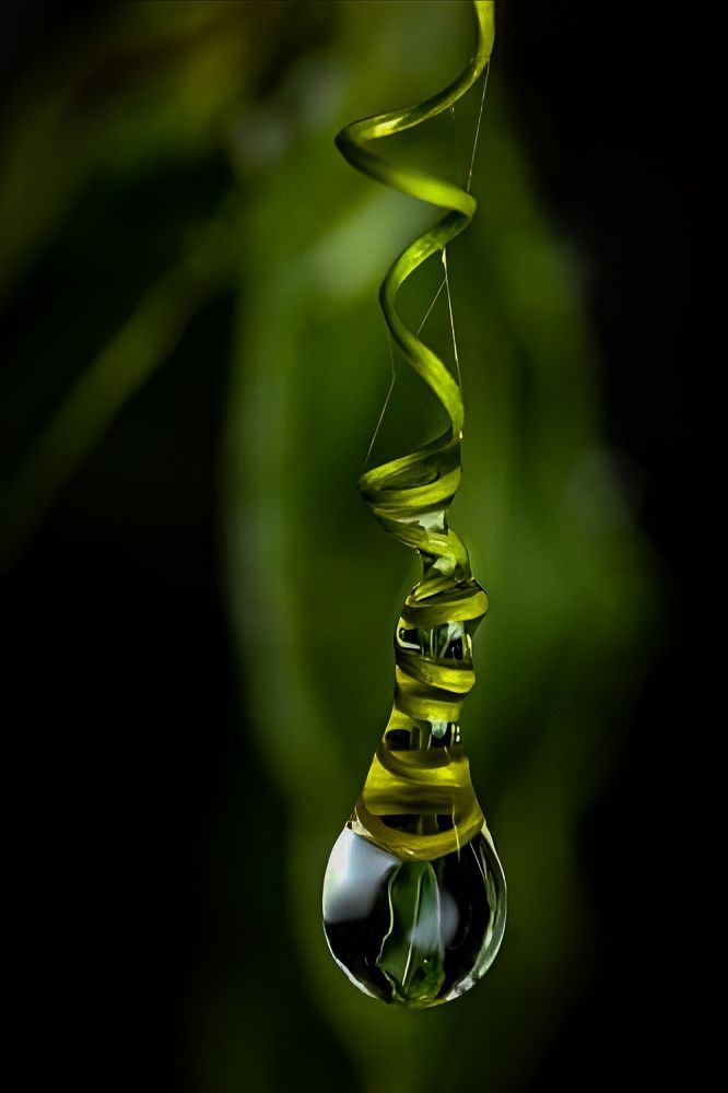 Photograph by Biraj Biraj