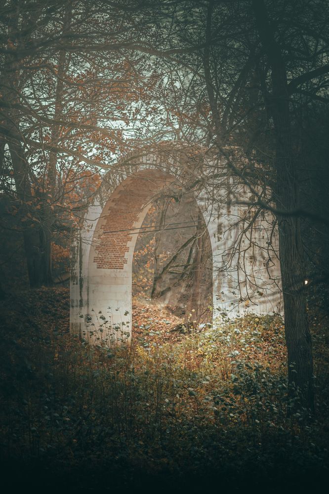 Фотография автора Анастасия Ларина