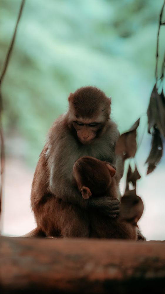 Photograph by Ayush Tripathi