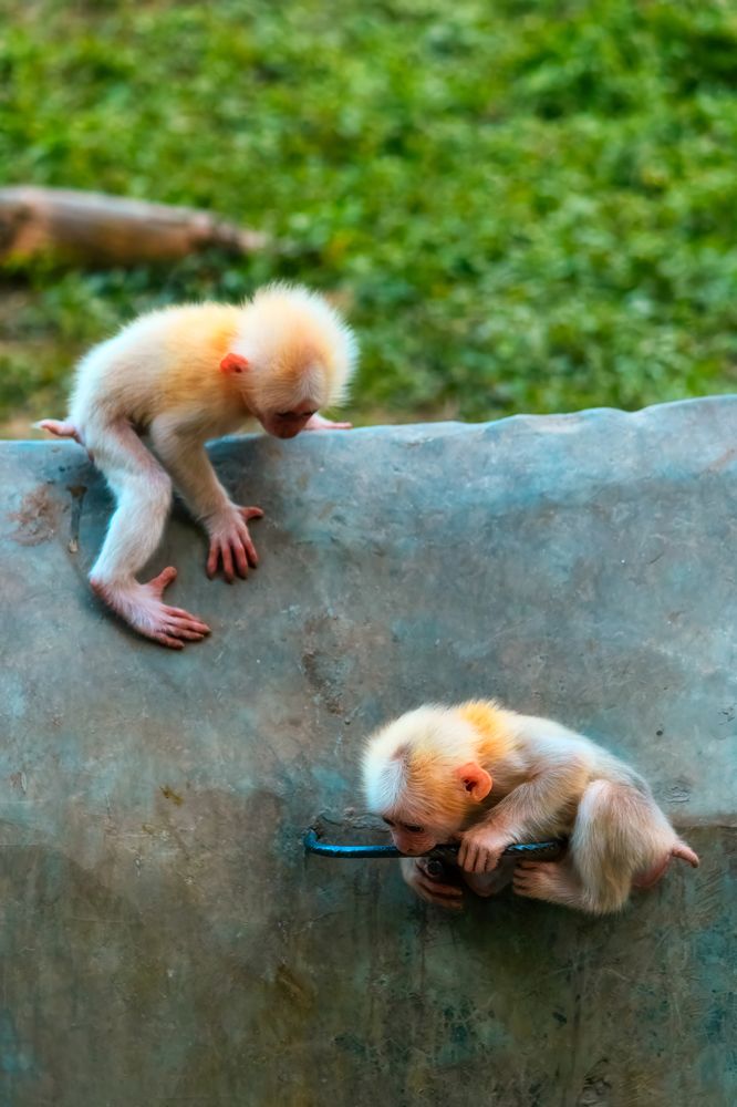 Photograph by Ayush Tripathi