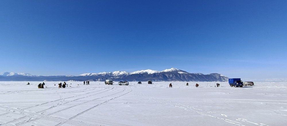 Photo #11717473