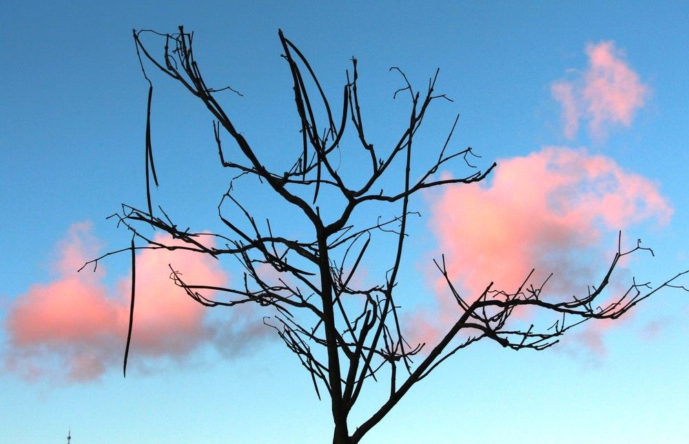 Photograph by 