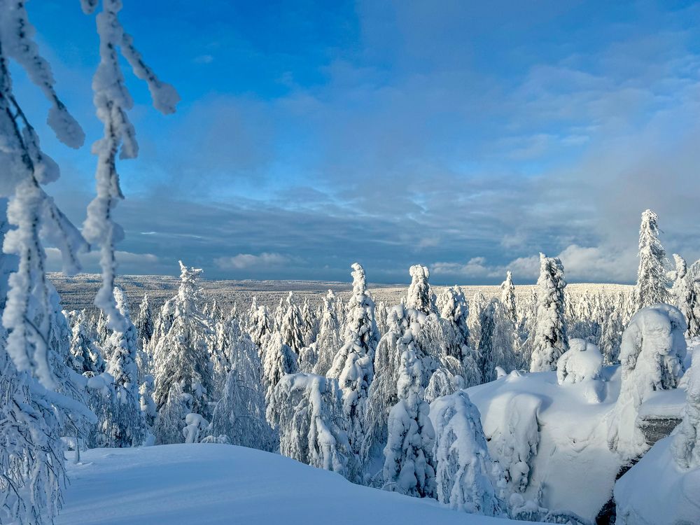 Photograph by Елена Карпухно