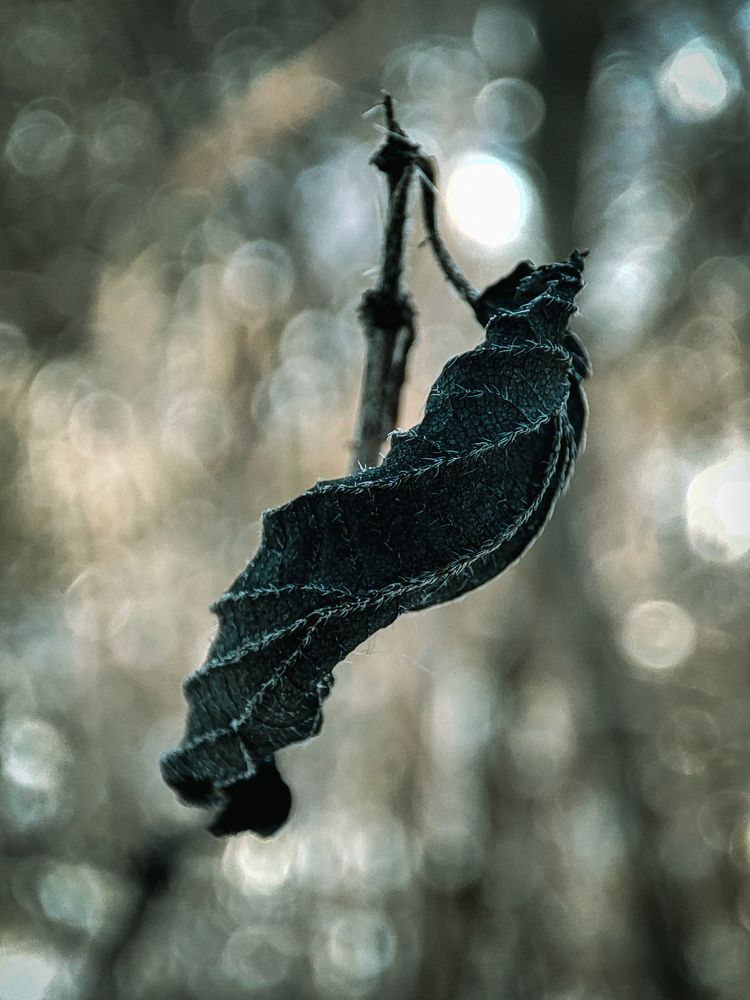 Photograph by Александра Петрова