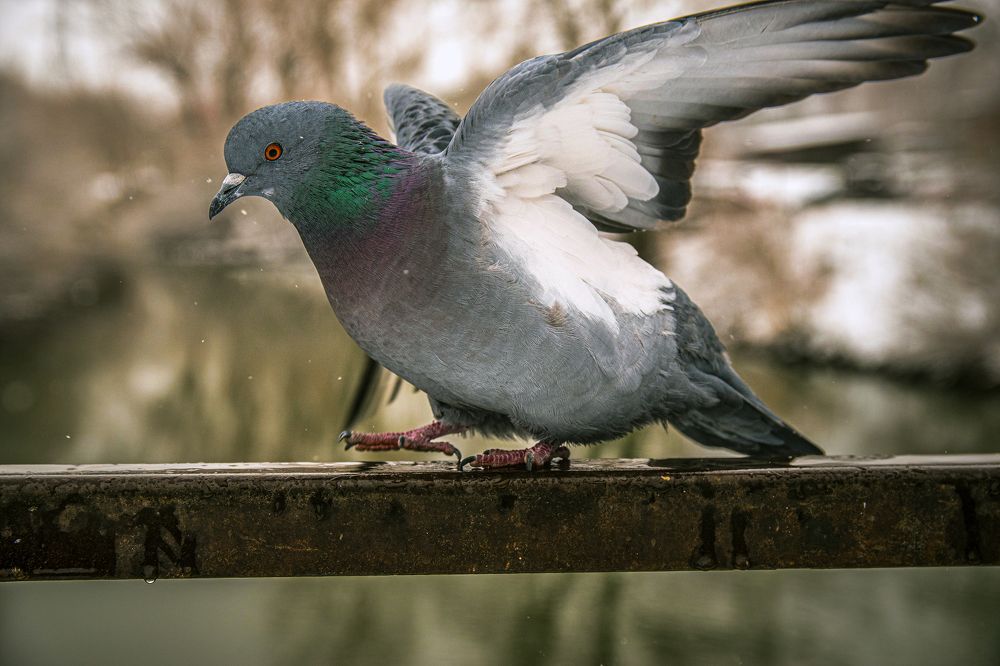 Photograph by Антон Гаврилов