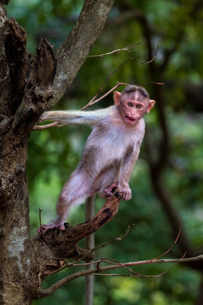 Photograph by Vinayak Naik