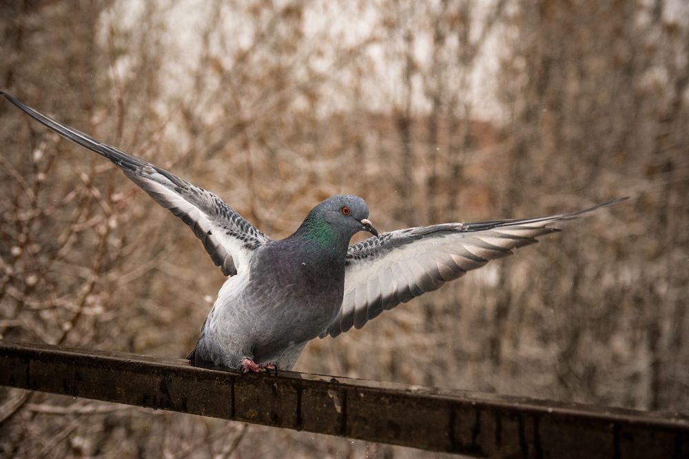 Photograph by Антон Гаврилов