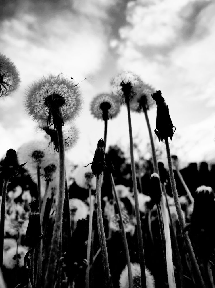 Photograph by Елена Колесник