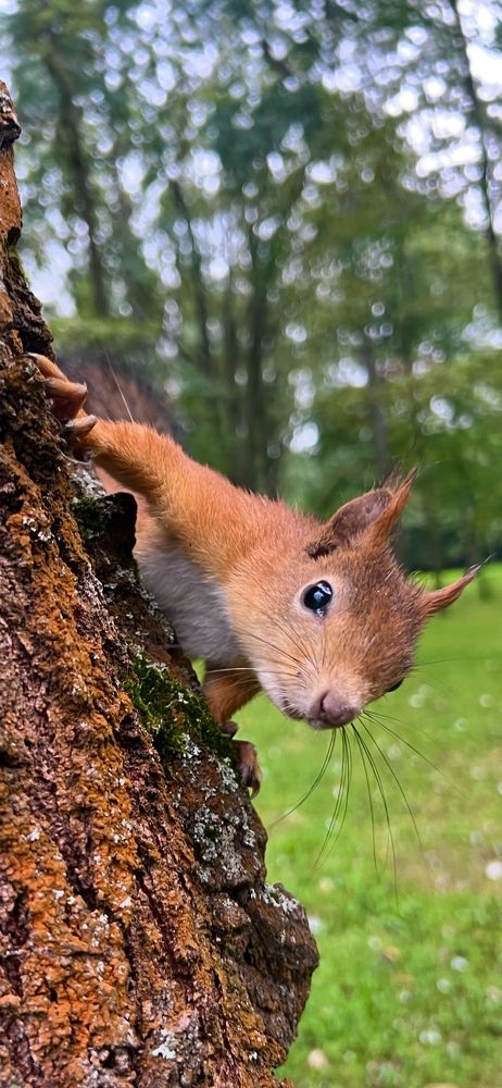 Photograph by Ирина Швейнова