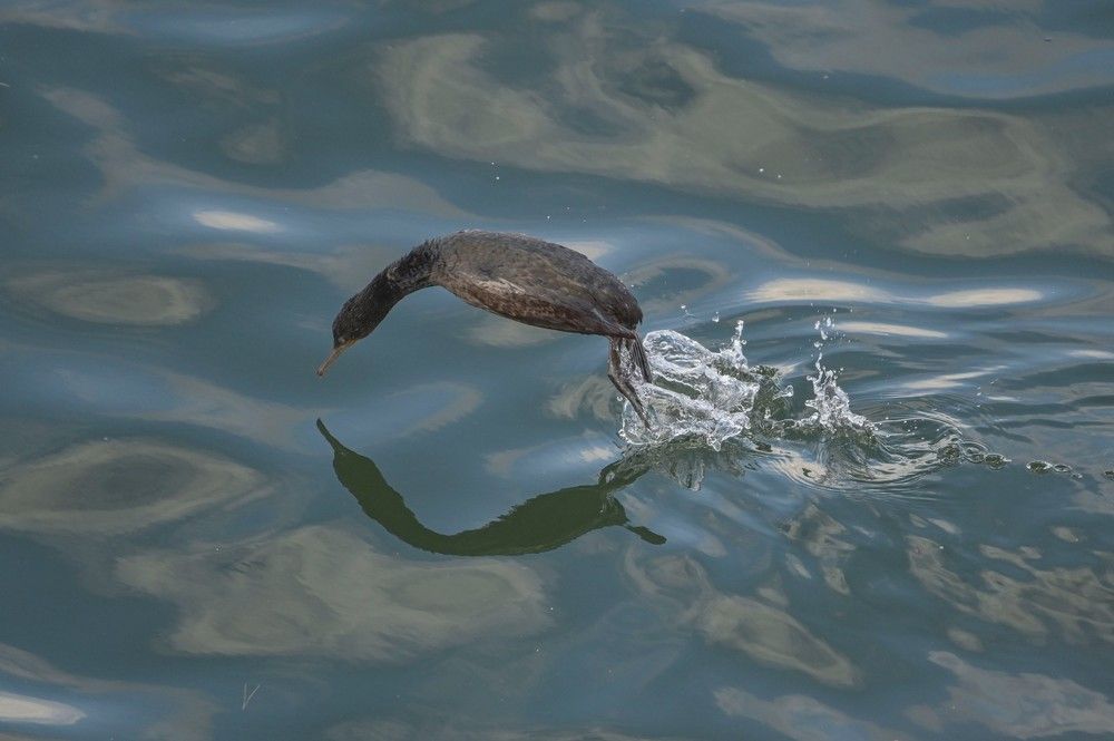 Photograph by Алексей Логинов