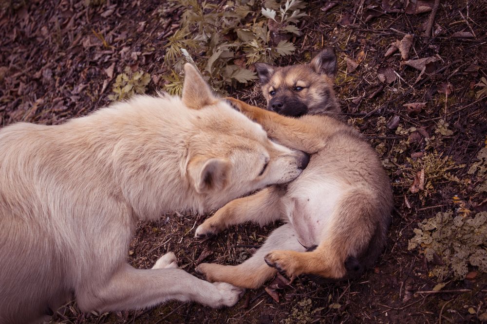 Photograph by Елена Фатьянова