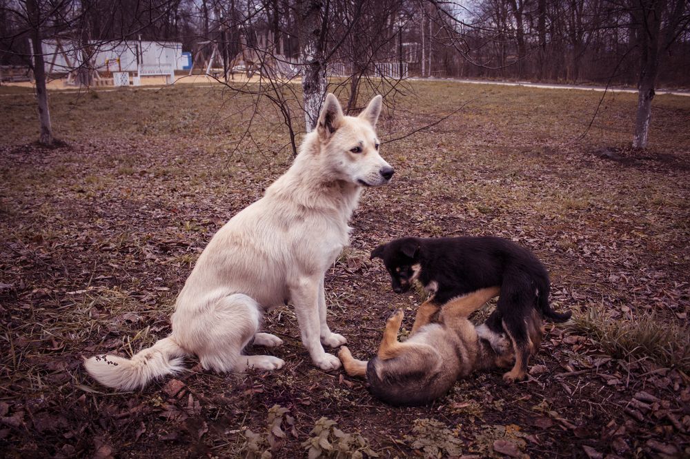 Photograph by Елена Фатьянова