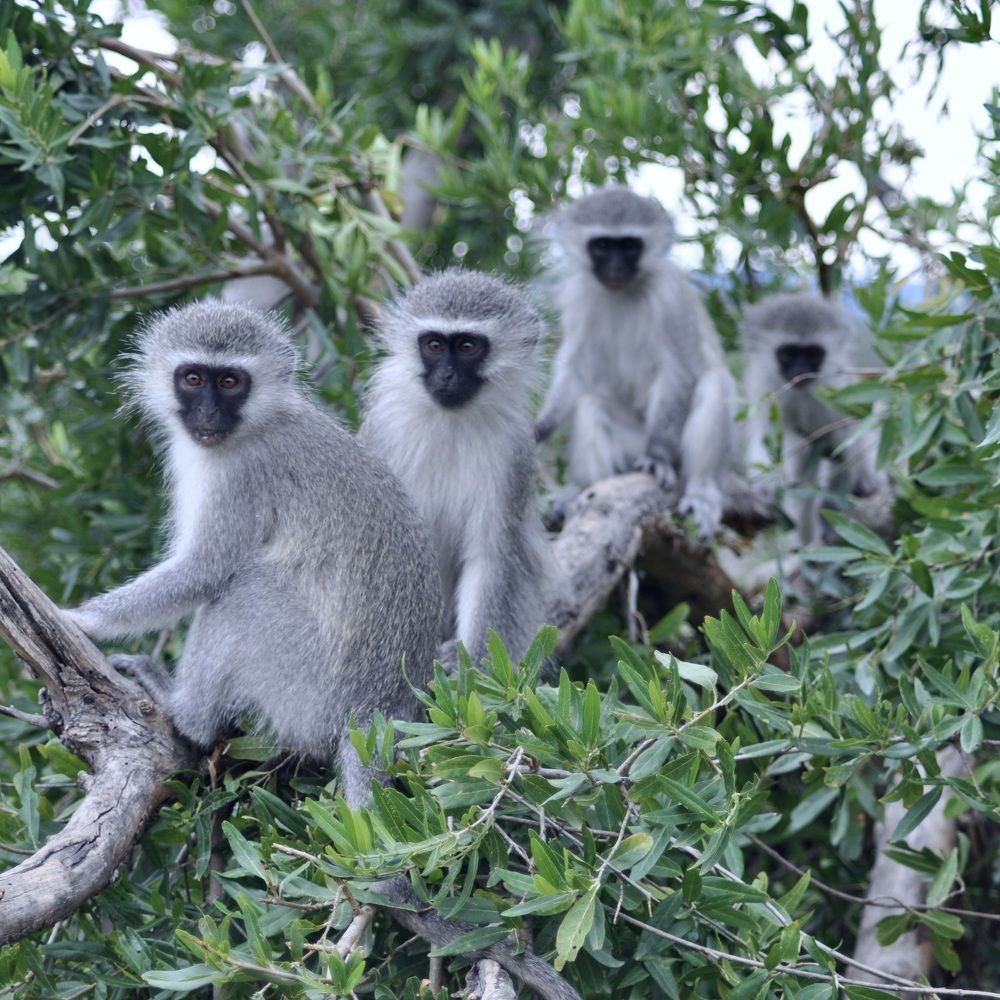 Photograph by Sandra Bruttomesso