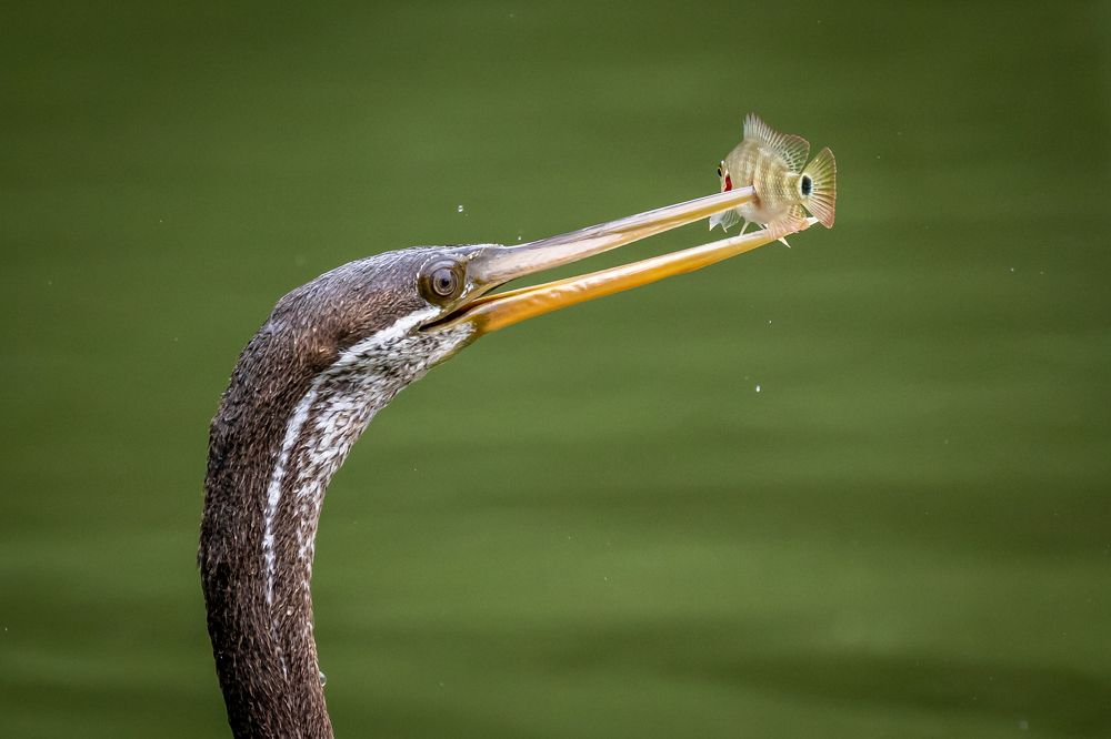 Quit moments by the quarry .