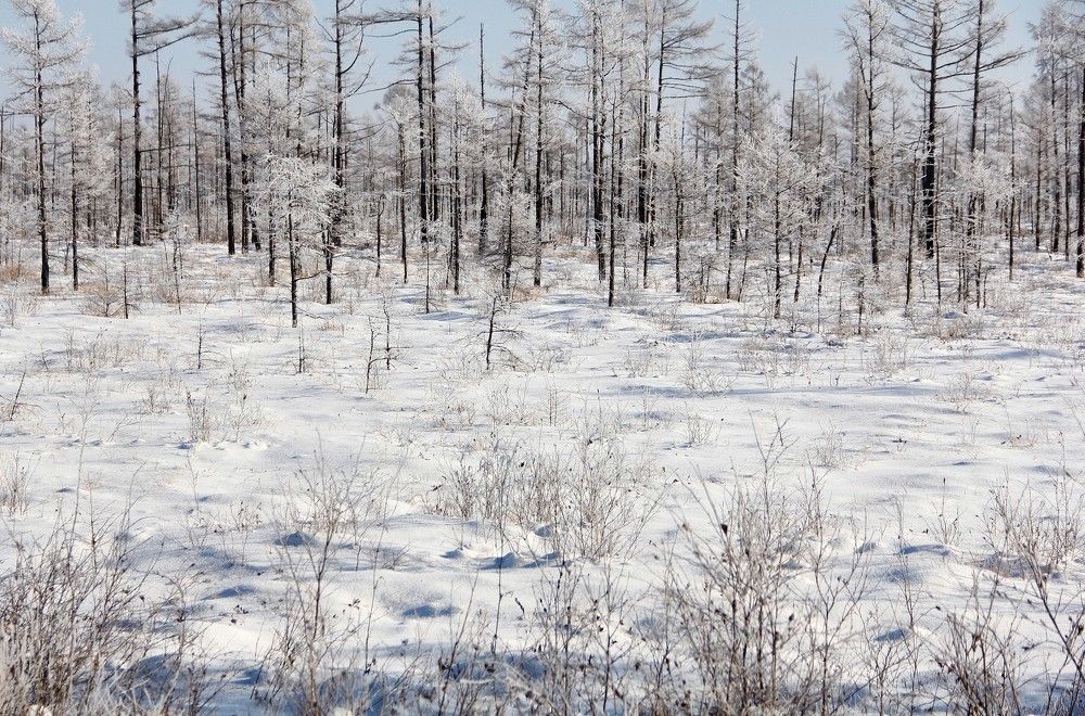 Фотография автора Наталия Мащенко