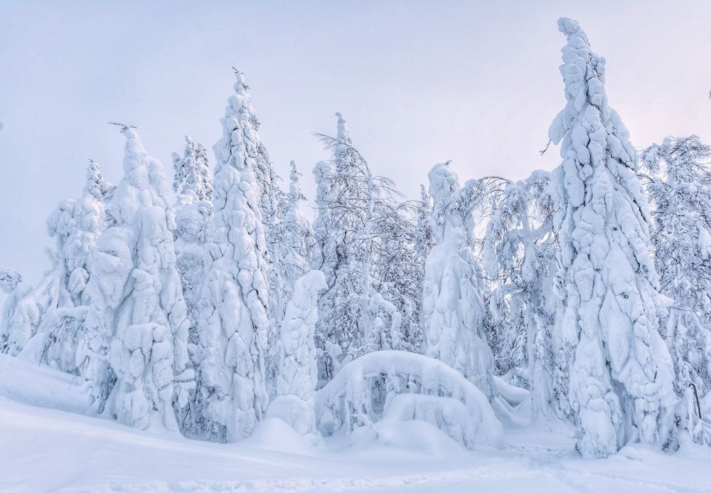 Photograph by Анастасия Глазюк