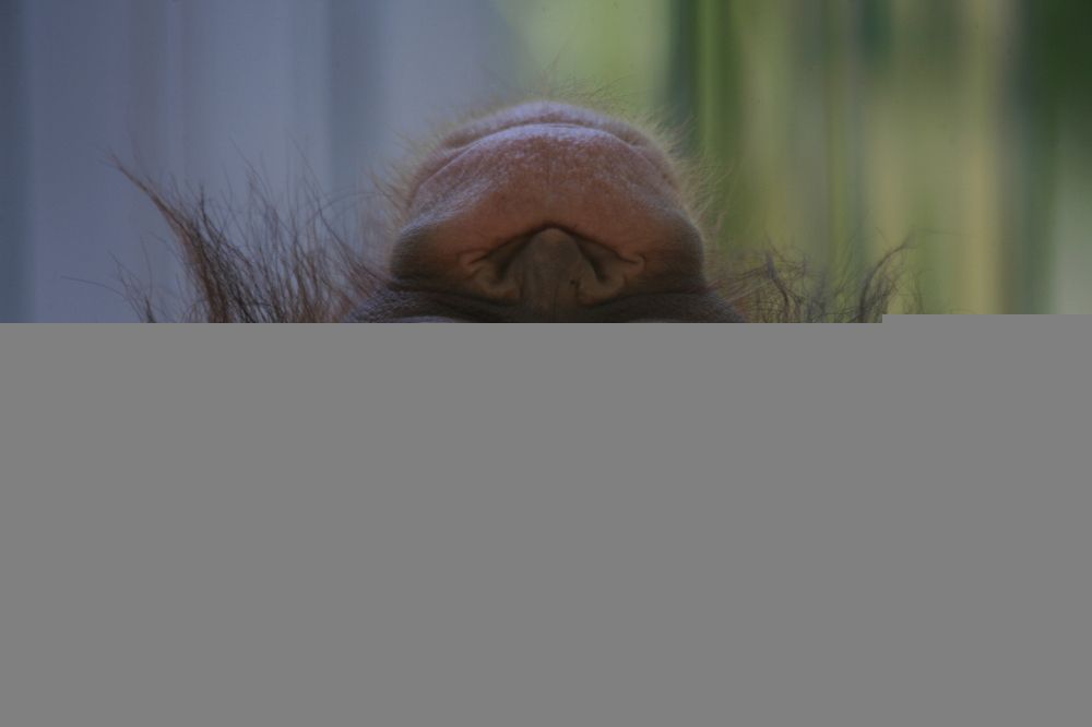 Photograph by Yuli Seperi