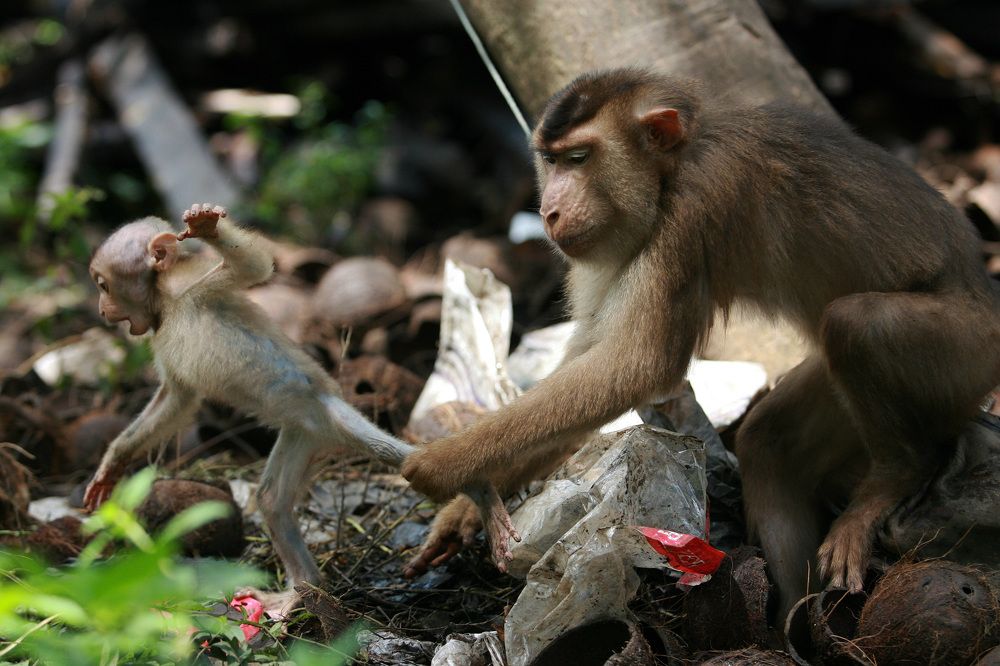 Photograph by Yuli Seperi