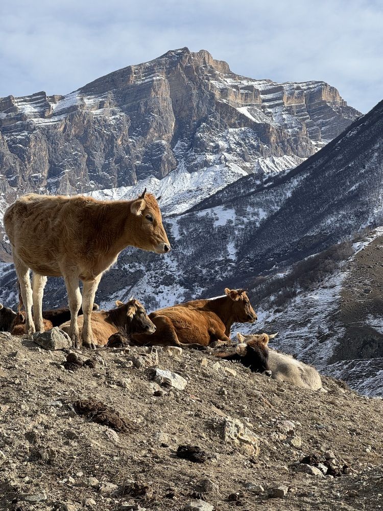 Photograph by Елена Квинт