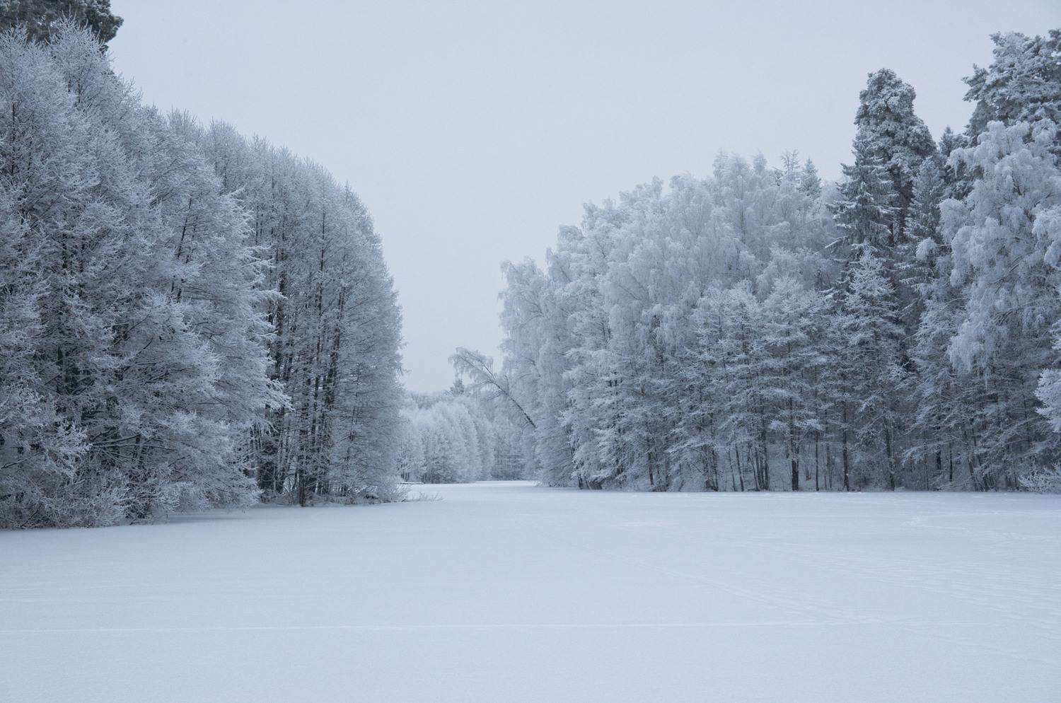 Photo #11717752