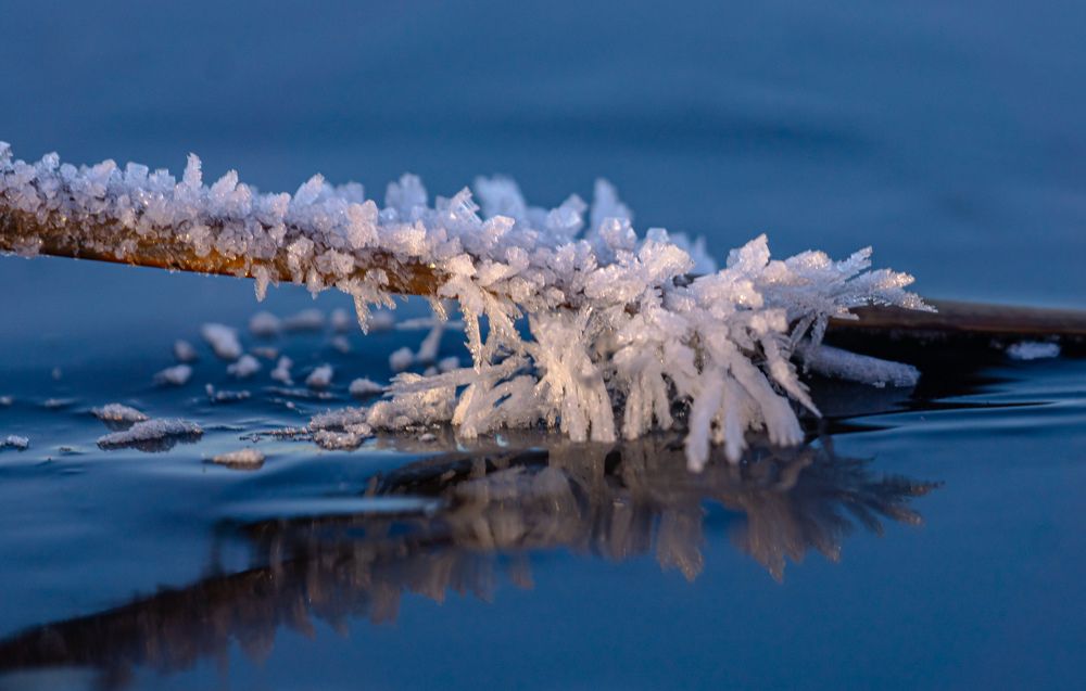 Photograph by Елена Гольдебаева