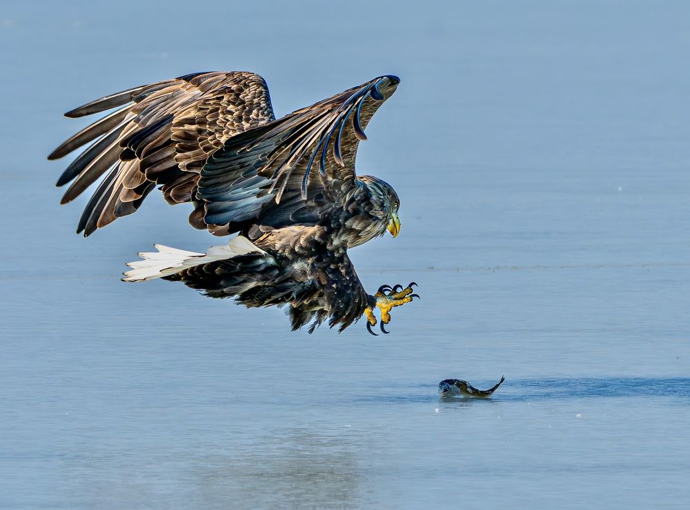 Photograph by Алексей Симонов