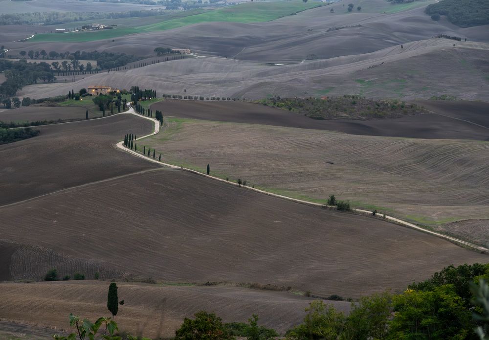 Фотография автора Андрей Симонов