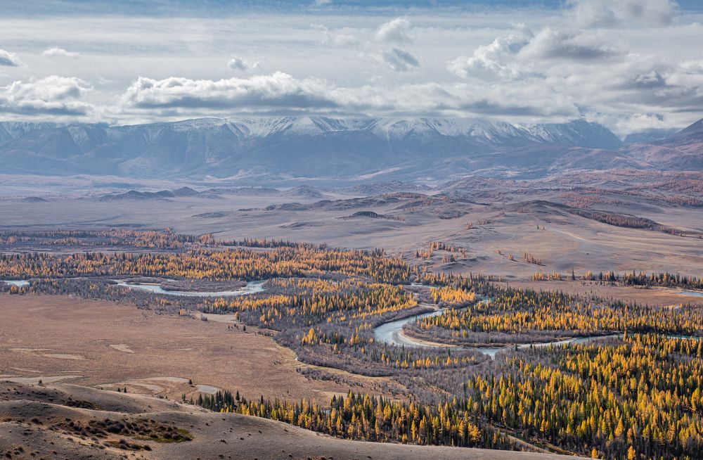 Photograph by Елена Павлова