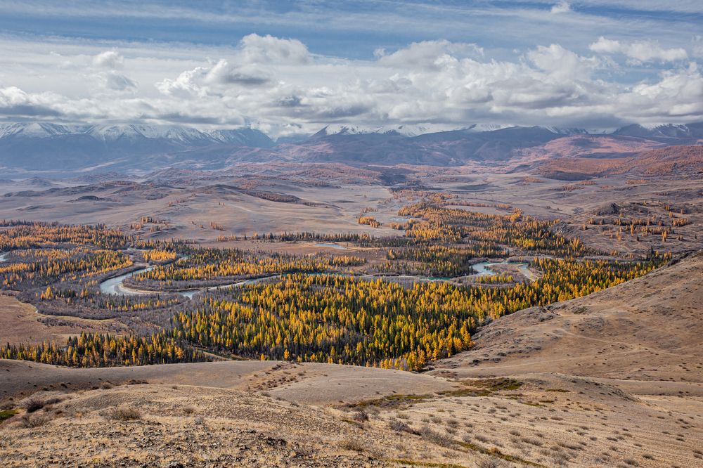 Photograph by Елена Павлова