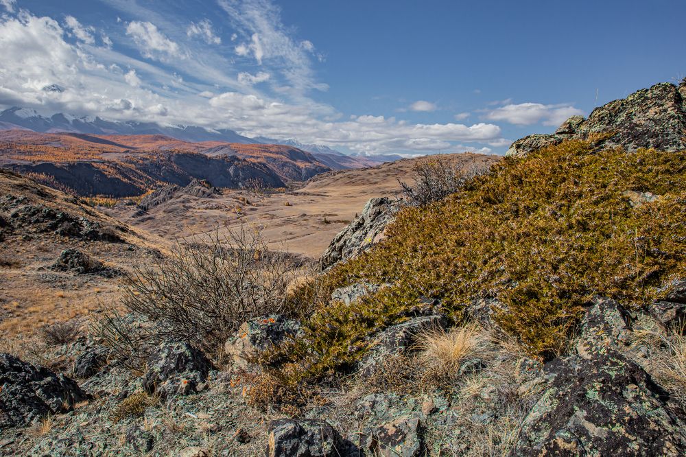 Photograph by Елена Павлова