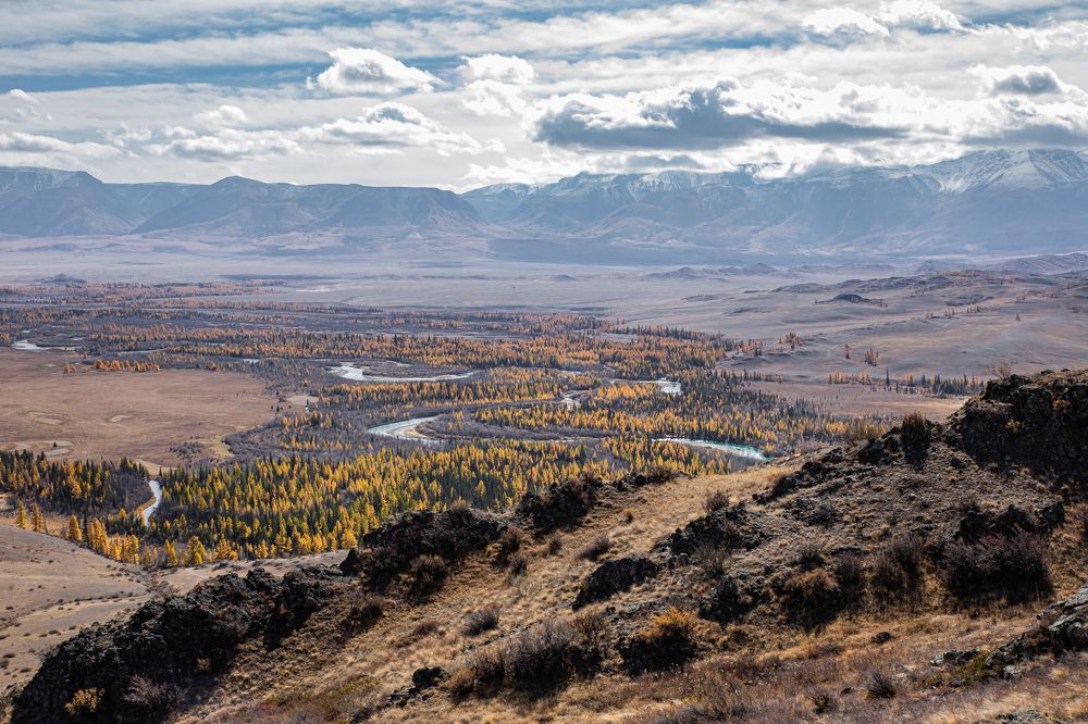 Photograph by Елена Павлова