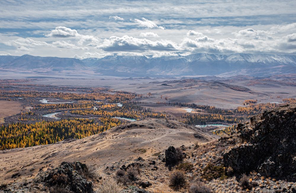 Photograph by Елена Павлова