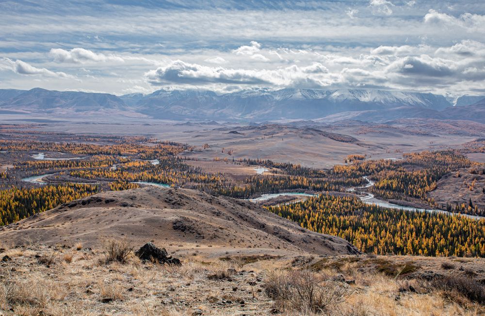 Photograph by Елена Павлова