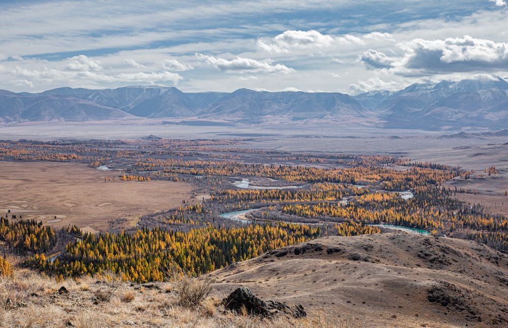 Photograph by Елена Павлова