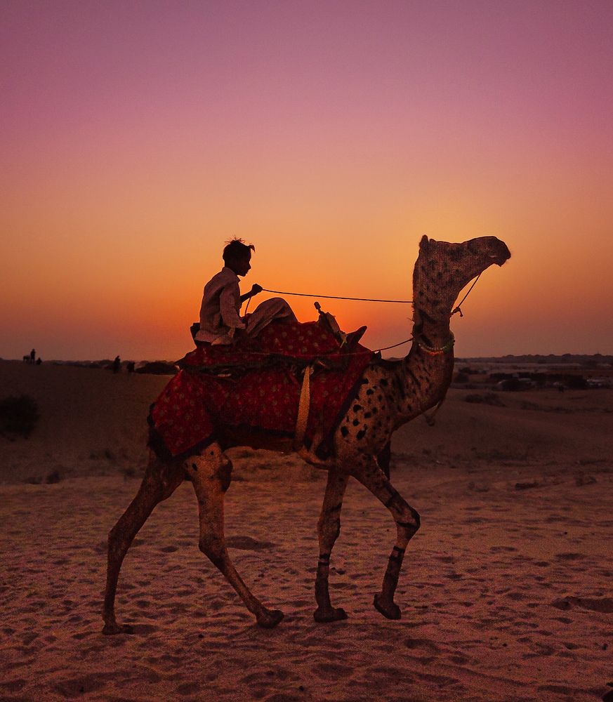 Golden sand and the journey.