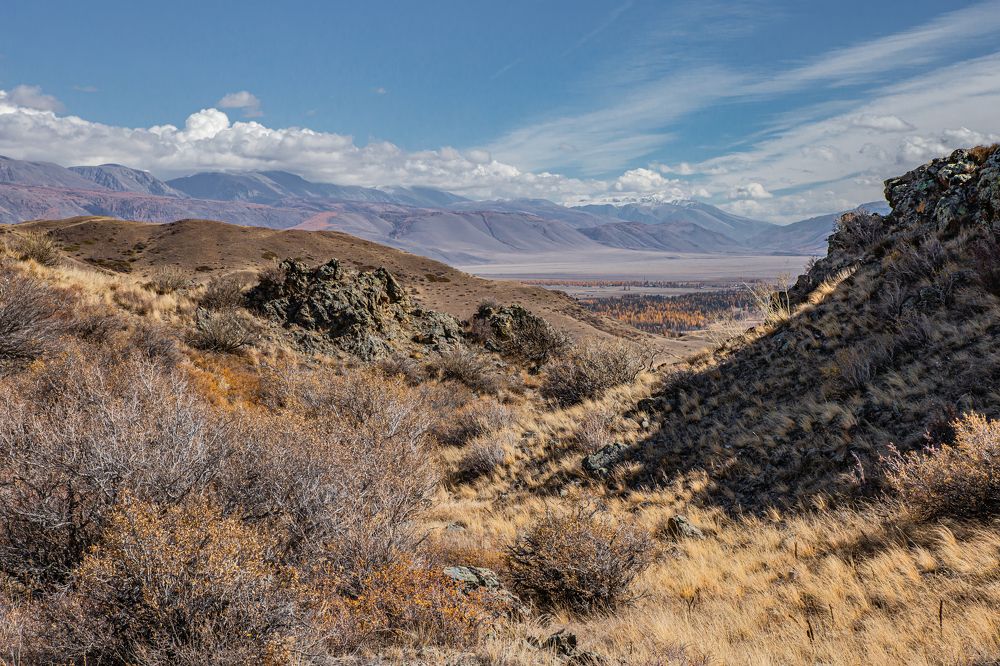 Photograph by Елена Павлова