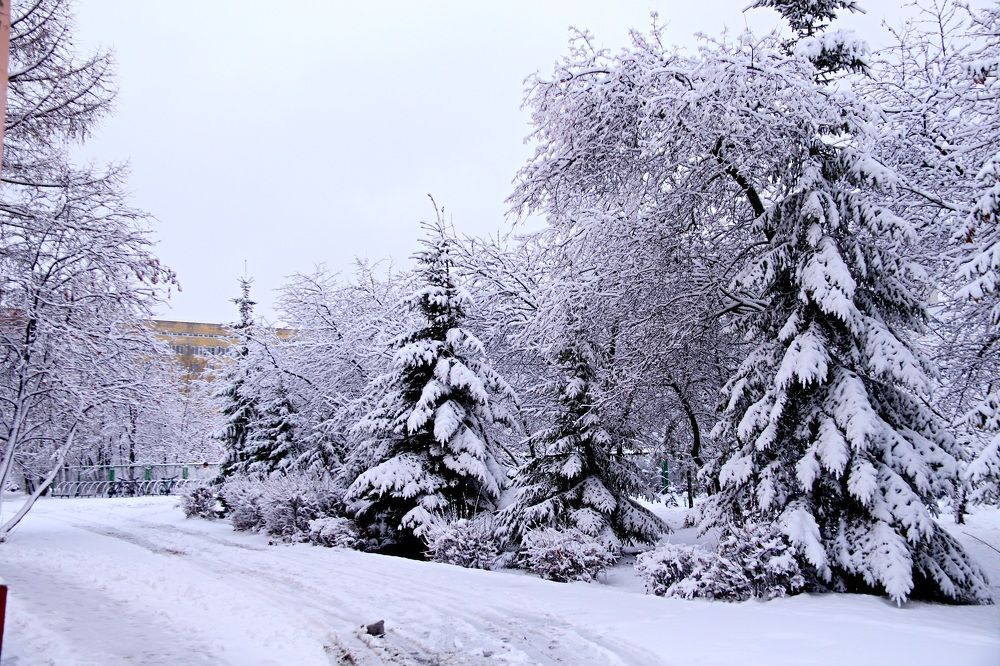 Photograph by Эдуард Петруша