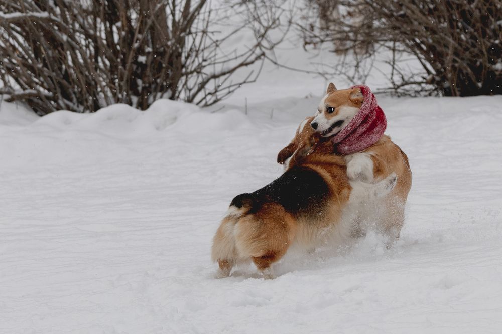 Фотография автора Елена Попова