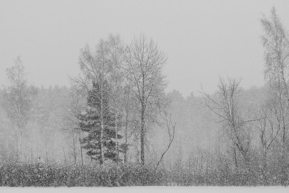 Фотография автора Валерий Бычков