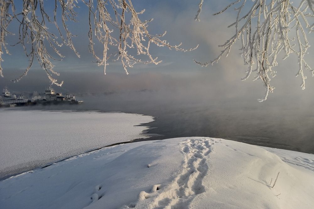 Photograph by Александр Попов