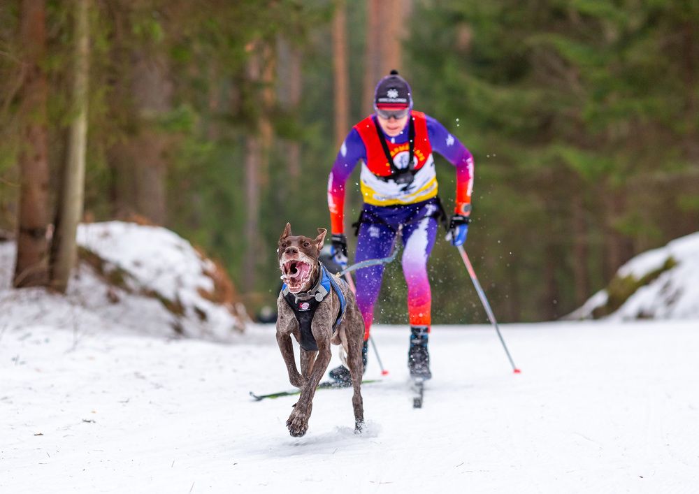 Фотография автора Yulia  Maximova