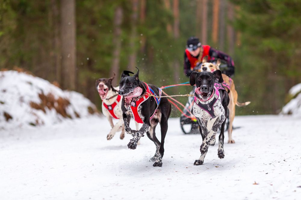 Фотография автора Yulia  Maximova