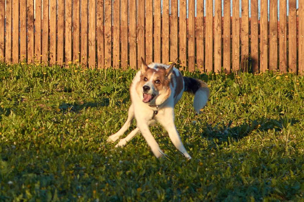 Photograph by Маргарита Гасец