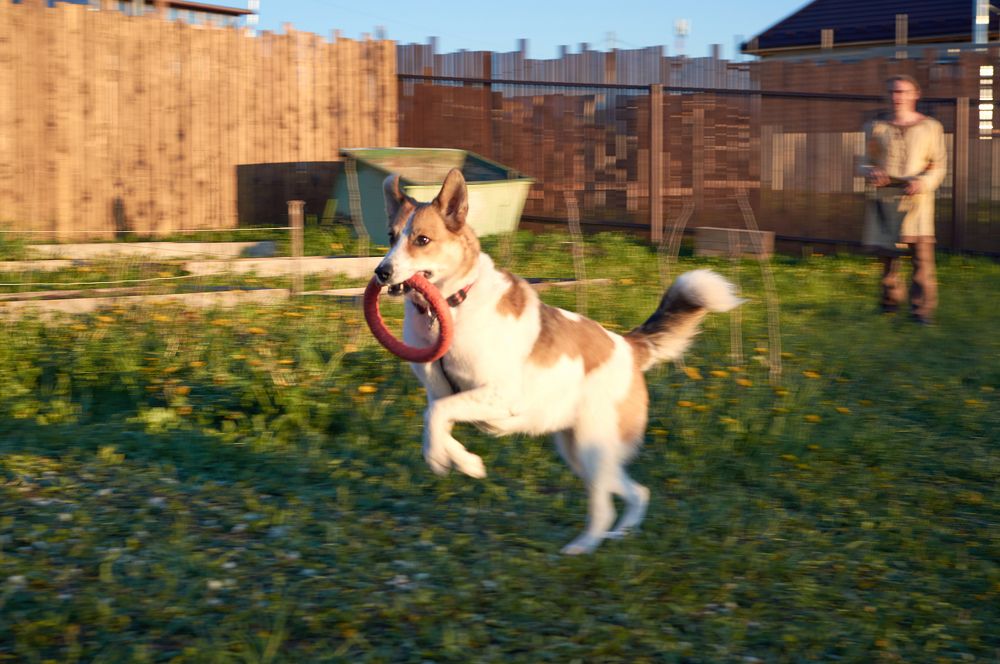 Photograph by Маргарита Гасец