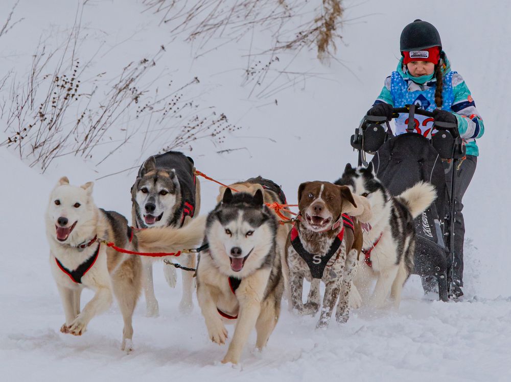 Photograph by Елена Павлова