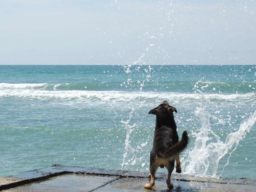 Photograph by Михаил Малец